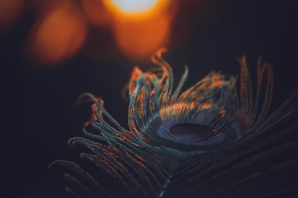 Essence of Bhagavad Gita: Lessons for Modern Life from Acharya Prashant