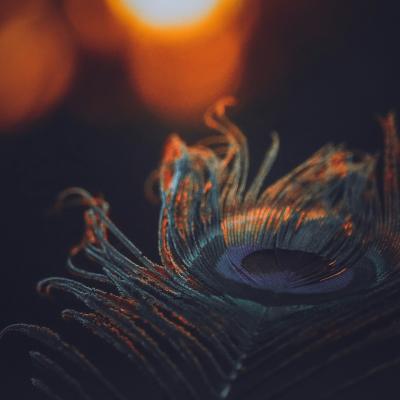 Essence of Bhagavad Gita: Lessons for Modern Life from Acharya Prashant