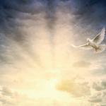 What is Amrutvani? The Meaning Behind Divine Speech